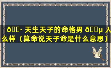 🌷 天生天子的命格男 🐵 人怎么样（算命说天子命是什么意思）